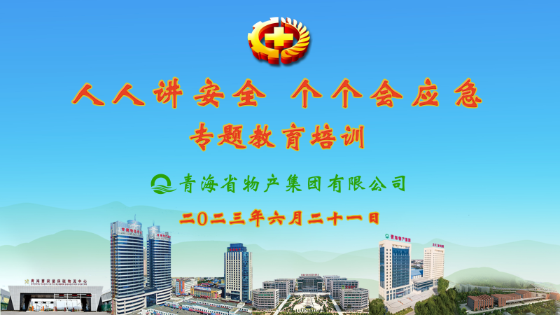 提高安全管理水平 落實(shí)全員安全責(zé)任——集團(tuán)安委會(huì)舉辦2023年“人人講安全，個(gè)個(gè)會(huì)應(yīng)急”專題教育培訓(xùn)