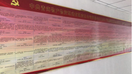 物產(chǎn)配送公司黨委“黨的建設重點強化年”活動2018年工作任務、組織保障具體化